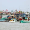 Nơi neo đậu tàu thuyền tại cửa biển Rạch Gốc, Ngọc Hiển (Cà Mau). (Ảnh: Huỳnh Anh/TTXVN