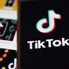 Liên minh châu Âu đã khởi động điều tra ứng dụng Lite của TikTok. (Ảnh: THX/TTXVN)