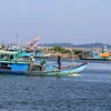 Từ tháng 8/2022 đến nay, tỉnh Bà Rịa-Vũng Tàu không có trường hợp tàu cá vi phạm khai thác vùng biển nước ngoài. (Ảnh: Lê Huy Hải/TTXVN)