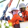 Đội thi công ngành điện lực Đồng Nai sửa chữa đường dây và thay thế thiết bị trên lưới trung thế tại khu vực Suối Nho-Định Quán. (Ảnh: TTXVN phát)