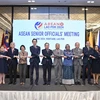 Thứ trưởng Ngoại giao, Trưởng SOM ASEAN Việt Nam Đỗ Hùng Việt tham dự Hội nghị Quan chức Cao cấp (SOM) ASEAN. (Ảnh: TTXVN phát)