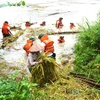 Cán bộ, chiến sỹ Bộ Chỉ huy Quân sự tỉnh Hà Giang giúp nhân dân thu hoạch hoa màu bị ngập sâu trong nước. (Ảnh: Quốc Hoàn/TTXVN phát)