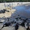 Công nhân dọn dầu loang trên bãi biển Tanjong ở đảo Sentosa (Singapore) ngày 16/6/2024. (Ảnh: THX/TTXVN)