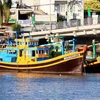 Tàu của ngư dân Bình Thuận neo đậu trên sông Cà Ty. (Ảnh: Hồng Đạt/TTXVN)
