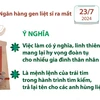 Ngân hàng gene mang lại hy vọng xác định danh tính hài cốt liệt sỹ