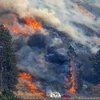 Khói lửa bốc lên từ đám cháy rừng ở bang Idaho (Mỹ), ngày 25/7/2024. (Ảnh: AP/TTXVN)