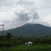 Tro bụi phun lên từ miệng núi lửa Lewotobi Laki-Laki, nhìn từ làng Pulolera ở huyện Flores Timur, Đông Nusa Tenggara (Indonesia). (Ảnh: THX/TTXVN)