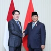 Chủ tịch nước Lương Cường gặp Tổng thống Indonesia Prabowo Subianto. (Ảnh: Lâm Khánh/TTXVN)