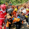 Lực lượng cứu hộ chuyển nạn nhân tại hiện trường vụ lở đất ở làng Bruno, huyện Purworejo, tỉnh Trung Java (Indonesia), ngày 20/11/2024. (Ảnh: THX/TTXVN)