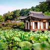 Khu vườn của Nhà Seongyojang ở Gangneung (Hàn Quốc). (Nguồn: Alamy/National Geographic)