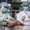 Trung Quốc tiếp tục phát hiện ca nhiễm cúm H7N9 ở người 