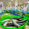 Đề xuất nhiều giải pháp nâng cao giá trị cá tra Việt Nam 