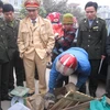 Cơ quan chức năng kiểm tra lô hàng động vật hoang dã bị phát hiện. (Ảnh: Trịnh Duy Hưng/Vietnam+)