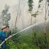 Gần 34.000ha rừng tràm ở Cà Mau có nguy cơ cháy cao 