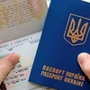 Dòng người nhập cư từ Ukraine vào Nga đang tăng mạnh