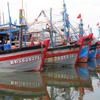 Ngư dân Bình Định vững vàng bám biển trước mọi thử thách 