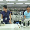 Doanh nghiệp tại Khu công nghiệp Việt Nam-Singapore (Bình Dương) trở lại làm việc. (Nguồn: TTXVN)