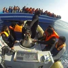 Hải quân Italy cứu hàng trăm người nhập cư gặp nạn