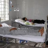 Lai Châu: 6 người ngộ độc "do ăn bọ xít đen" đã xuất viện