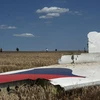 Tổng thống Ukraine ra lệnh ngừng bắn quanh vị trí MH17 rơi