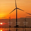[Photo] Những đổi thay to lớn trên vùng điện gió Bạc Liêu