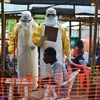 Quan chức y tế Tây Phi nhóm họp bàn chiến lược đối phó Ebola