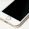 iPhone 6 sẽ có NFC để hỗ trợ nền tảng thanh toán di động của Apple