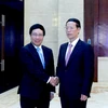Phó Thủ tướng Phạm Bình Minh gặp Phó Thủ tướng Trung Quốc