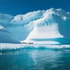 Tình trạng tan băng tại Bắc Cực đang ở mức báo động