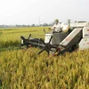 LHQ hỗ trợ Việt Nam giảm phát thải khí nhà kính nông nghiệp