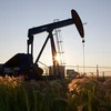 IEA dự báo giá dầu mỏ thế giới sẽ tiếp tục giảm đến năm 2015