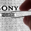 Vụ tấn công mạng Sony: Số an sinh xã hội của nhiều "sao" bị lộ