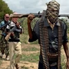 Nigeria: Quân đội chính phủ tiêu diệt 27 phần tử Boko Haram