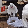 Số ca tử vong do dịch Ebola tại ba nước Tây Phi tăng mạnh