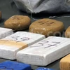 Argentina thu lượng ma túy, tiền giả lớn trước thềm Giáng sinh 