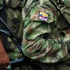 Colombia: Tổ chức FARC cảnh báo hủy bỏ ngừng bắn đơn phương