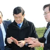 Chủ tịch nước thăm các mô hình nông nghiệp hiện đại ở Hà Nam