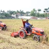 Tìm lời giải cho bài toán tái cơ cấu nông nghiệp Việt Nam