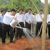 Chủ tịch nước phát động Tết trồng cây Xuân Ất Mùi năm 2015