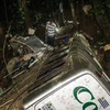 Số người thiệt mạng do tai nạn xe buýt ở Brazil tăng lên 54