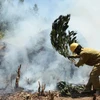 Cháy rừng dữ dội ở Nghệ An, lực lượng cứu hộ trắng đêm dập lửa
