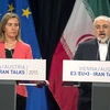 Đại diện cấp cao về chính sách đối ngoại và an ninh của EU Federica Mogherini và Ngoại trưởng Iran Mohammad Javad Zari tại buổi họp báo ở Vienna, Áo ngày 14/7. (Nguồn: AFP) 