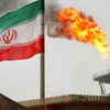Lĩnh vực dầu khí, năng lượng là lĩnh vực hợp tác truyền thống giữa Nhật Bản và Iran. (Nguồn: asia.nikkei.com)