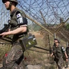 Binh sỹ Hàn Quốc đi tuần tại khu vực hàng rào ngăn cách hai miền Triều Tiên. (Nguồn: AP)