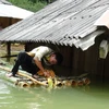 Nhà dân bị ngập sâu trong nước lũ ở huyện Thuận Châu, Sơn La. (Ảnh: Công Luật/TTXVN)