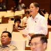 Đại biểu Quốc hội thành phố Đà Nẵng Huỳnh Nghĩa phát biểu ý kiến. (Ảnh: Phương Hoa/TTXVN)