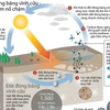 [Infographics] Đất đóng băng vĩnh cửu: Quả bom nổ chậm