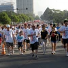 Đông đảo người dân tham gia chương trình chạy bộ từ thiện Terry Fox lần thứ 17, năm 2013 ở TP Hồ Chí Minh. (Ảnh: Mạnh Linh/TTXVN)