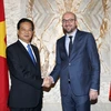 Thủ tướng Vương quốc Bỉ Charles Michel đón, hội đàm với Thủ tướng Nguyễn Tấn Dũng. (Ảnh: Đức Tám/TTXVN) 