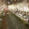 [Photo] Đường phố Tokyo rực rỡ trong lễ hội ánh sáng 2015 